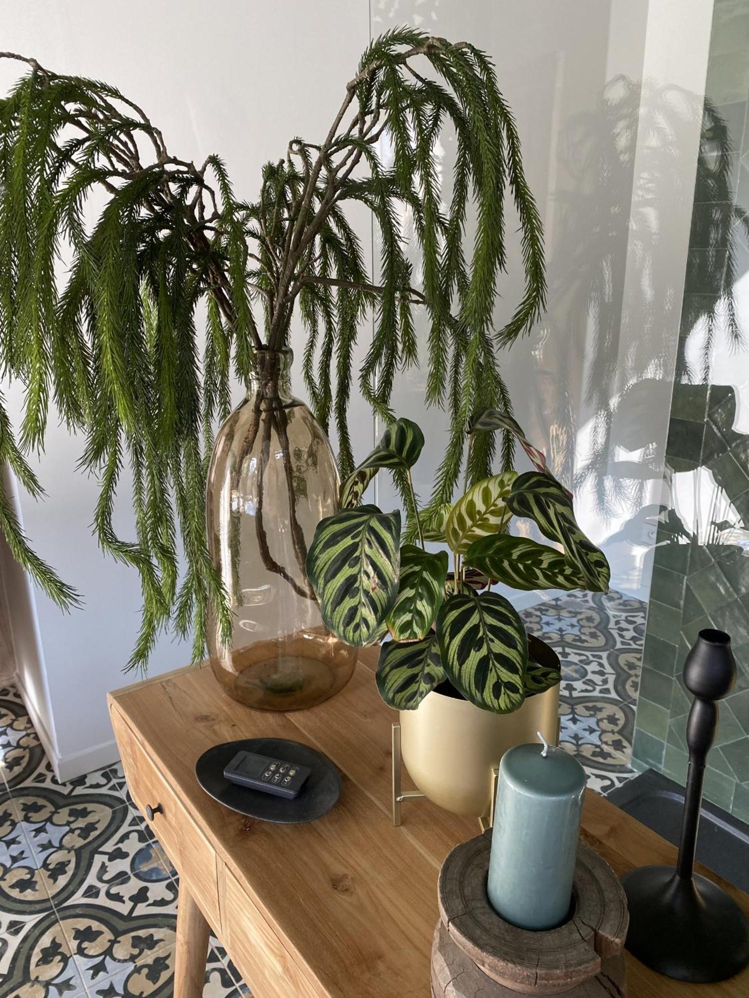 La Villa Barbieux Roubaix Pokoj fotografie