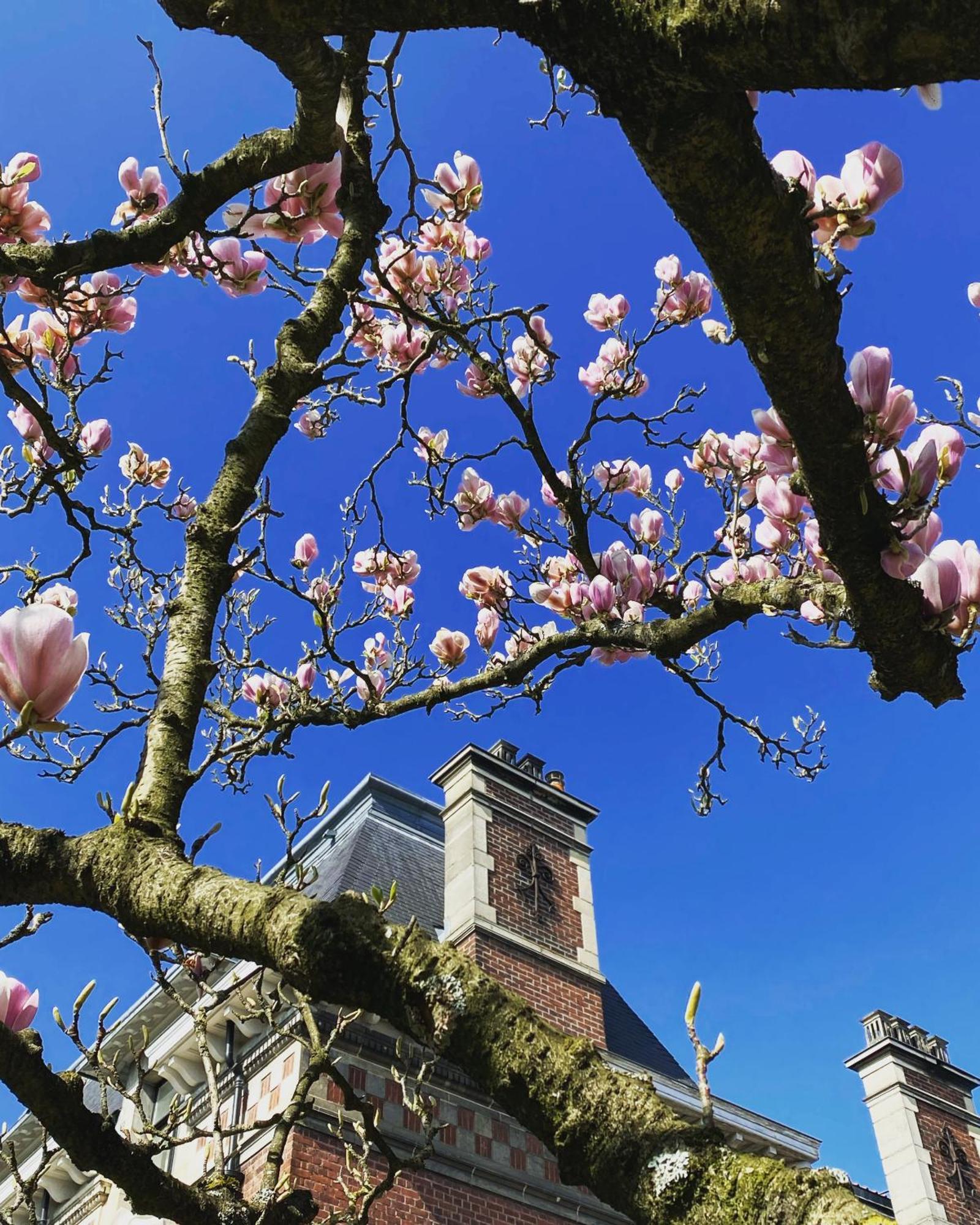 La Villa Barbieux Roubaix Exteriér fotografie